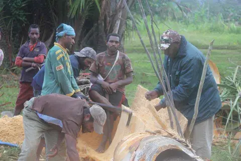 Oli titi penake pa:ta: ula: pikisatate Rouareke wekihalima: hau lita:le:ekie, /  Making sago in Rouareke